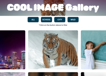 create an image gallery
